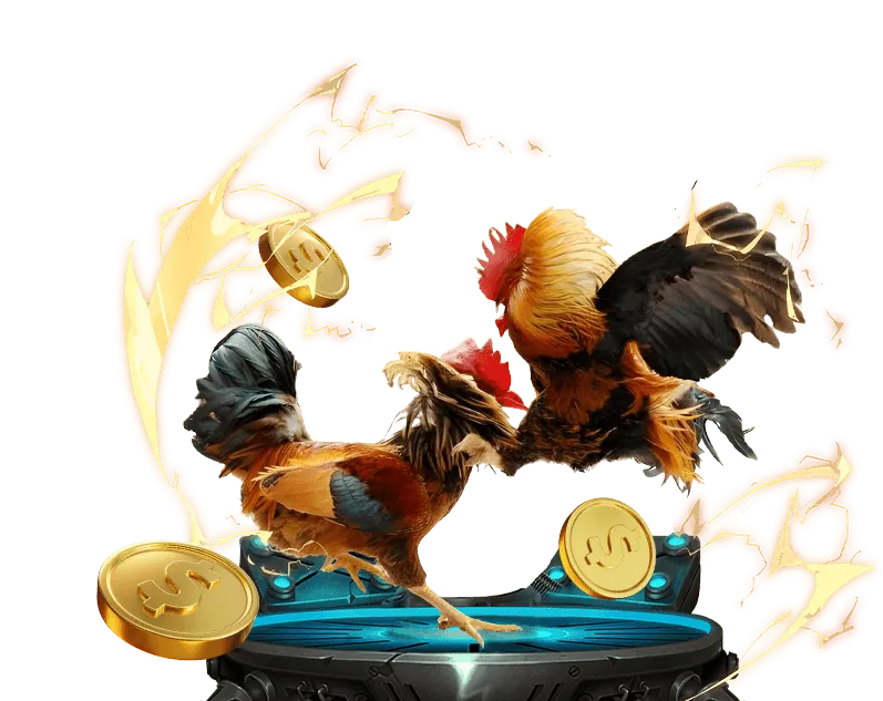 Nền tảng Win2026